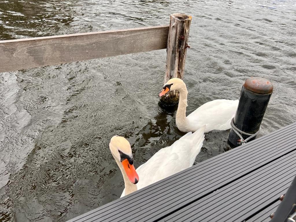 ホテル Quiet Waterloft Near Amsterdam And Schiphol Ws11 アールスメール エクステリア 写真